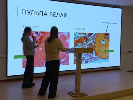 Научно-практическая конференция «Микромир-2023» 4