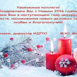 Поздравление с Новым годом от директора ИДПО М.Ю. Малышева